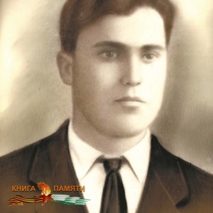 Файл-3.Бигвава Родион Константинович